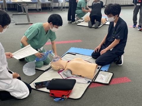 a7d25aa32ca644a1b55a2192a69810b8-1763000738.jpg a7d25aa32ca644a1b55a2192a69810b8-1763000738.jpg