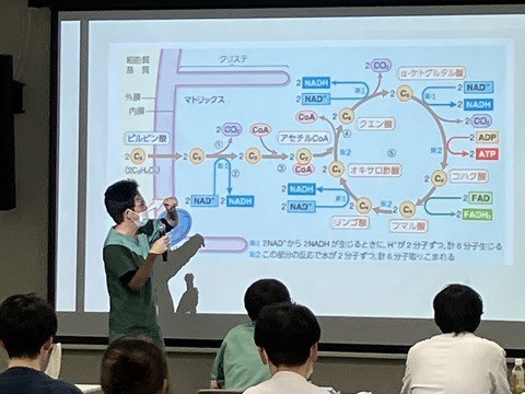 【研修医】研修医勉強会