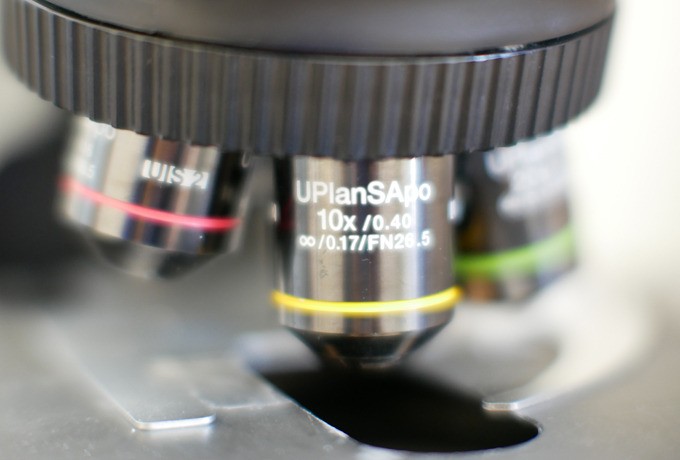 乾癬（かんせん）
